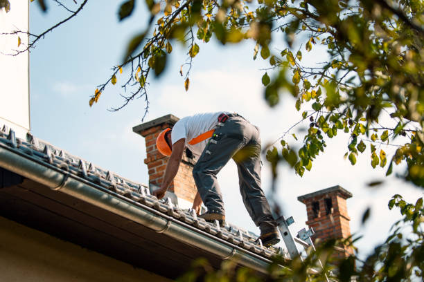 Best Metal Roofing Contractor  in Maple Bluff, WI